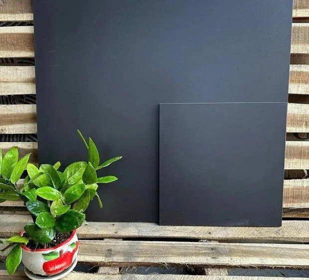 Gạch ốp tường 60x60cm Men Matt Mã DS03