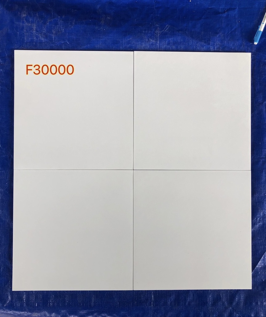 Gạch 300x300  trắng mờ F30000