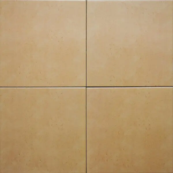 [DSC-iN2016] Gạch Bông 200x200 mm IN2016