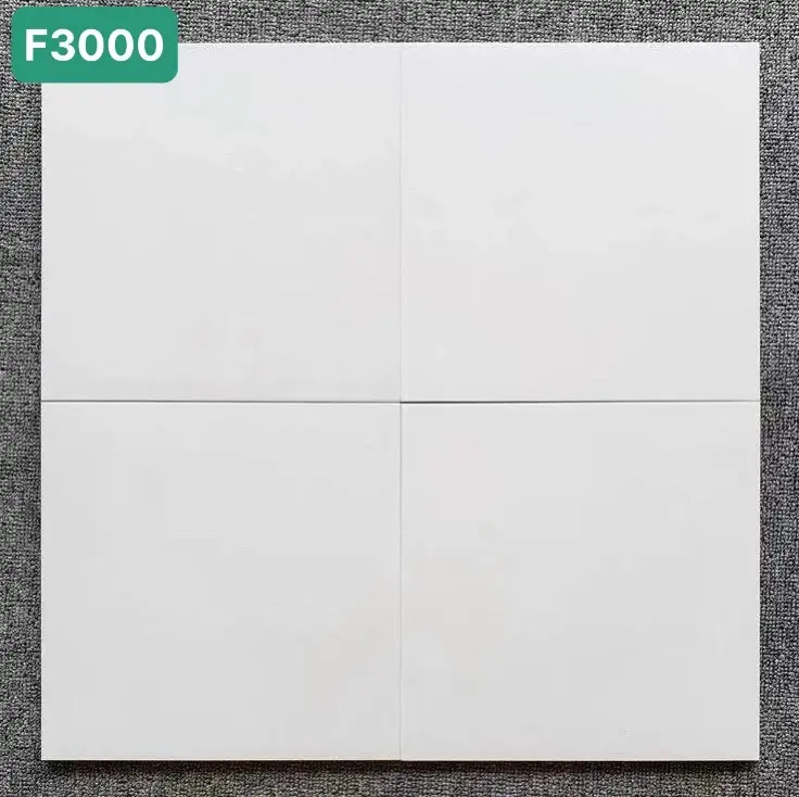 Gạch bông TQ, KT 300x300 mm, Xương Porcelain mặt mờ mã F30000 (1h/1m/11v)