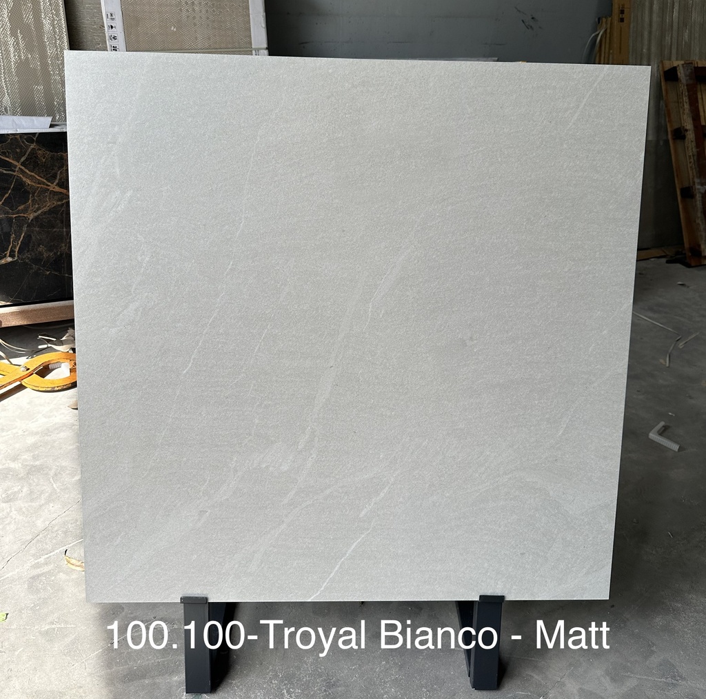 Gạch Ấn Độ 1000x1000mm Troyal Bianco - Matt