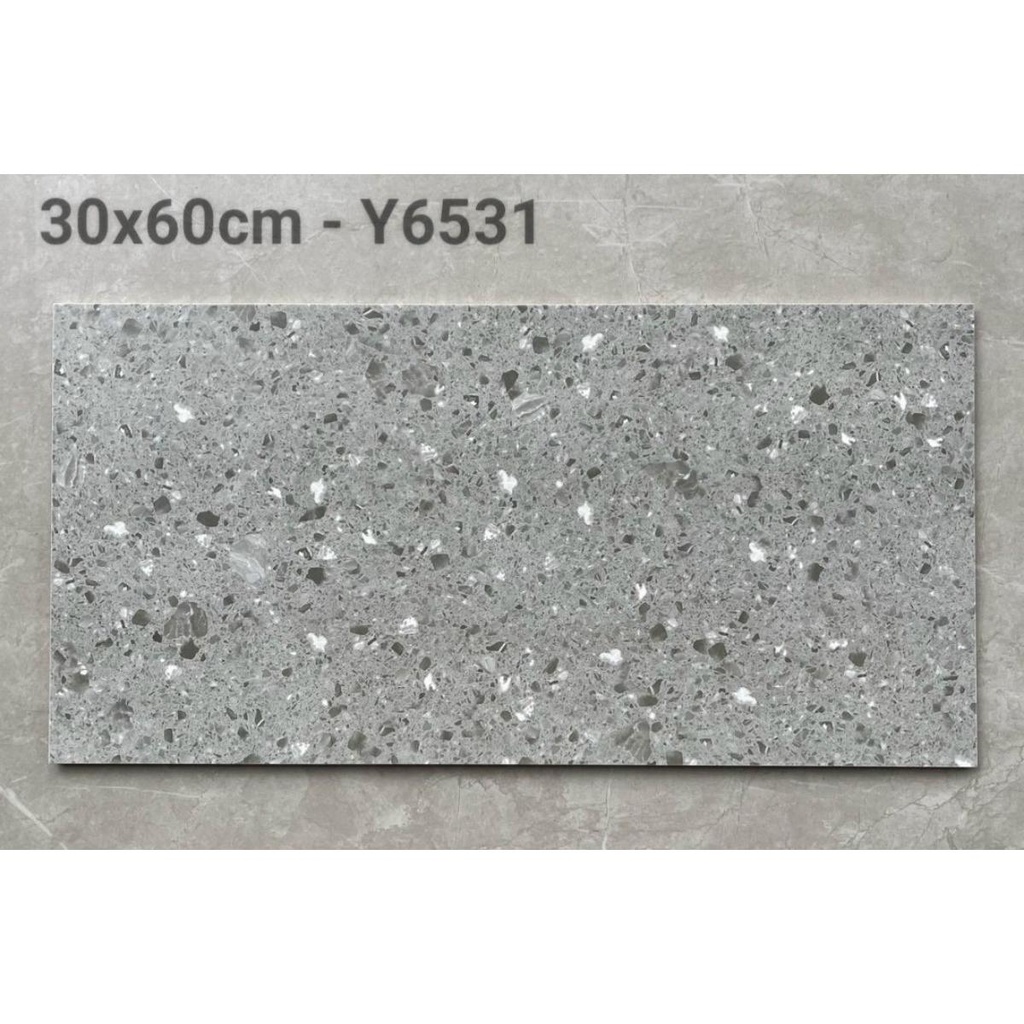 Gạch Terrazzo KT 300x600mm Y6531