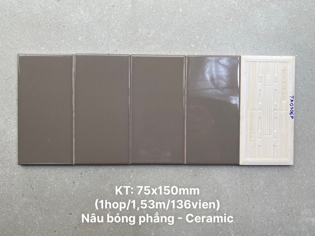 Gạch thẻ xương bóng phẳng KT 75x150mm TA0306P