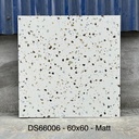 Gạch Terrazzo KT 600x600mm DS66006