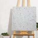 Gạch Terrazzo KT 600x600mm mã N6012