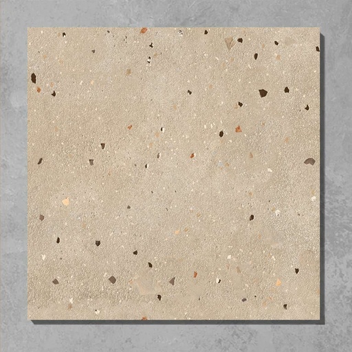 [5502] Gạch Terrazzo 600x600mm mã 5502