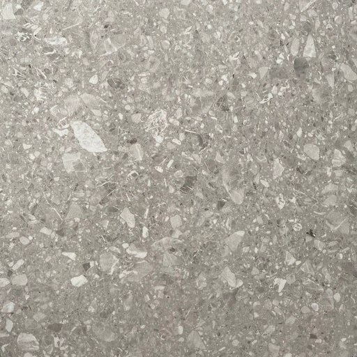 [S6A05] Gạch terrazzo 600x600 mã S6A05